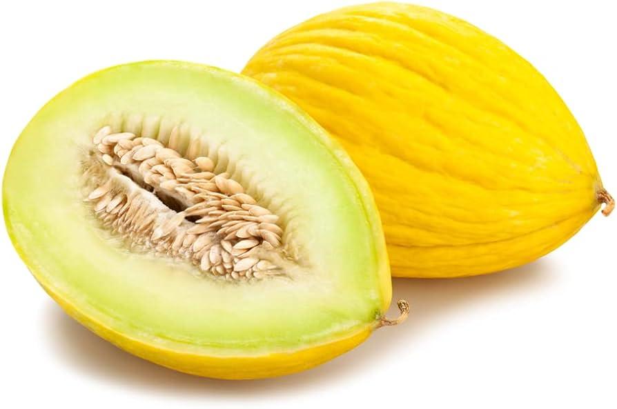 28 Different Varieties of Melons with Their Nutritional Value