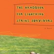 thehandbookforlightening
