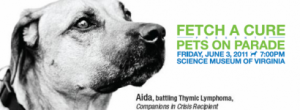 Fetch a Cure