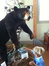 Outer Banks Center for Wildlife Education watch your fingers!