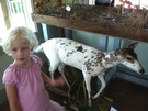 Outer Banks Center for Wildlife Education Outer Banks Center for Wildlife Education