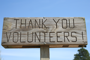 VolunteerSign